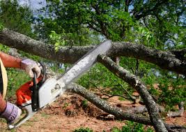 Arkoma, OK  Tree Services Company